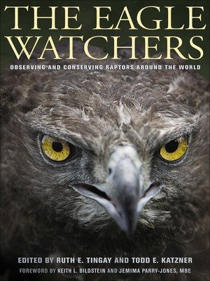 cover image of The Eagle Watchers